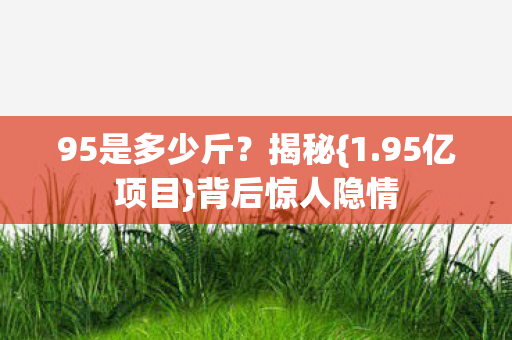 95是多少斤图片