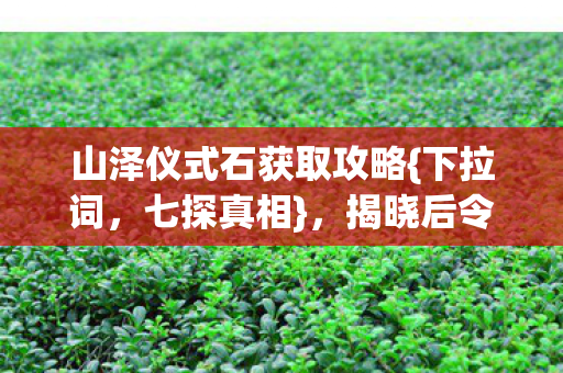 山泽仪式石获取攻略图片