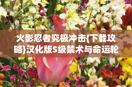 火影忍者究极冲击{下载攻略}汉化版S级禁术与命运轮回 火影忍者究极冲击{下载攻略}汉化版S级禁术与命运轮回