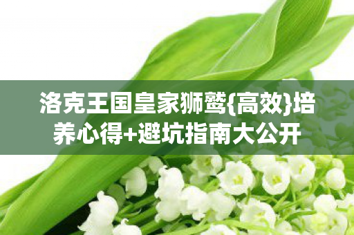 洛克王国皇家狮鹫{高效}培养心得+避坑指南大公开