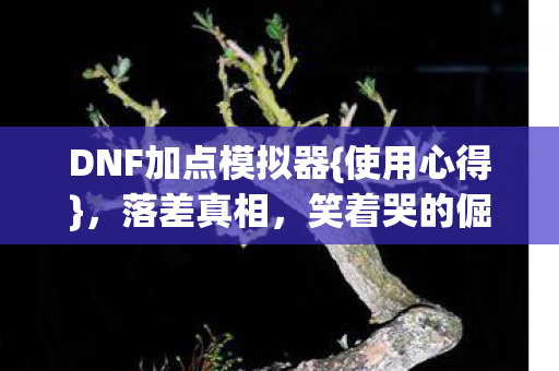 DNF加点模拟器图片