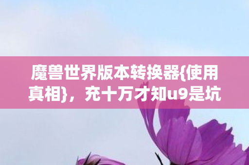 魔兽世界版本转换器{使用真相},充十万才知u9是坑? 魔兽世界版本转换器{使用真相},充十万才知u9是坑?