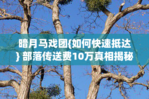 暗月马戏团{如何快速抵达} 部落传送费10万真相揭秘 暗月马戏团{如何快速抵达} 部落传送费10万真相揭秘