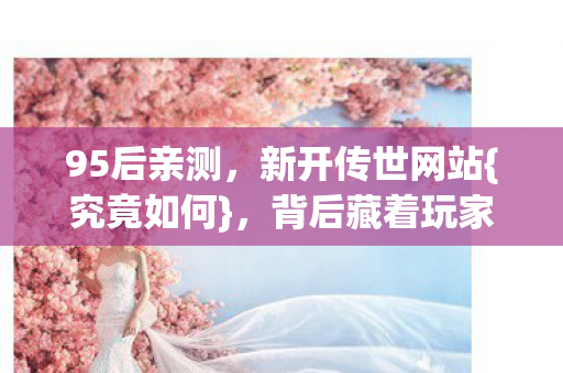 95后亲测，新开传世网站{究竟如何}，背后藏着玩家心酸泪？
