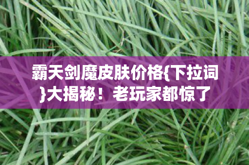 霸天剑魔皮肤价格图片