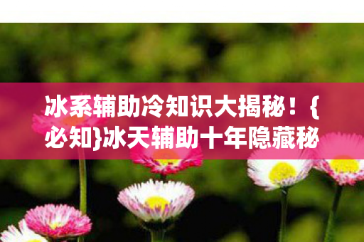 冰系辅助冷知识大揭秘图片