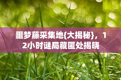 12小时谜局藏匿处揭晓图片