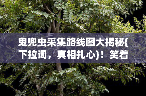 鬼兜虫采集路线图大揭秘图片