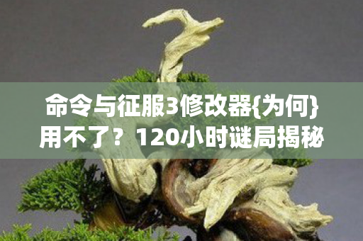命令与征服3修改器图片