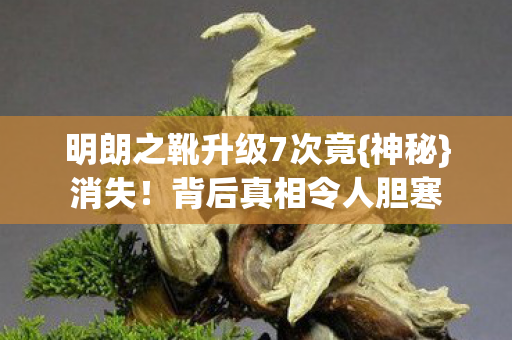 明朗之靴升级7次竟图片
