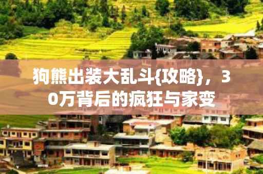 30万背后的疯狂与家变图片