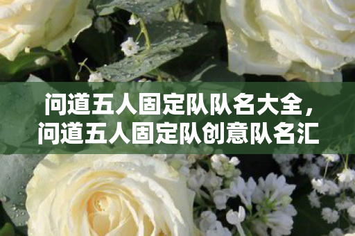 问道五人固定队队名大全,问道五人固定队创意队名汇总 问道五人固定队队名大全,问道五人固定队创意队名汇总