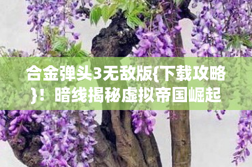 合金弹头3无敌版{下载攻略}！暗线揭秘虚拟帝国崛起