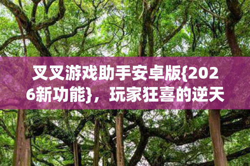 叉叉游戏助手安卓版{2026新功能}，玩家狂喜的逆天体验！
