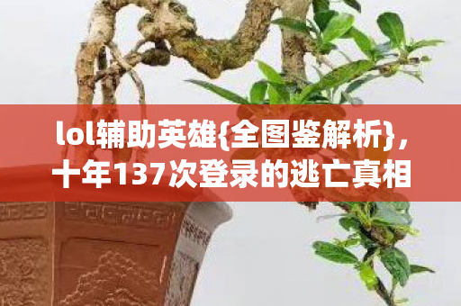 十年137次登录的逃亡真相图片