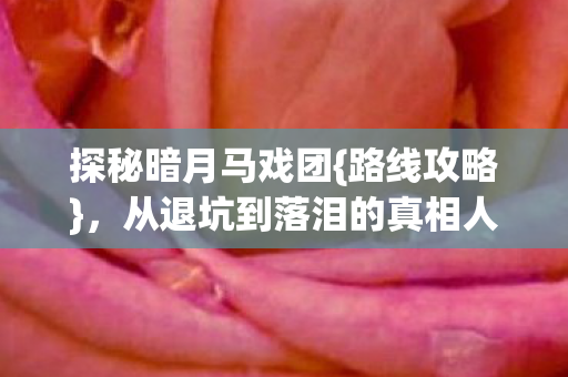 从退坑到落泪的真相人生图片
