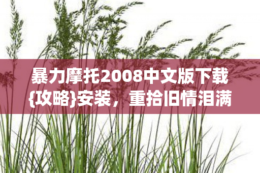 暴力摩托2008中文版下载图片