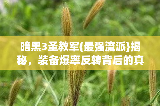 装备爆率反转背后的真相图片