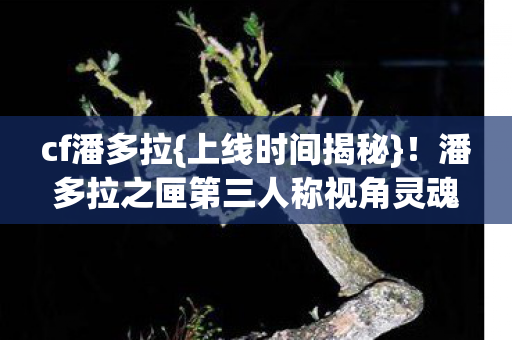 潘多拉之匣第三人称视角灵魂震颤图片