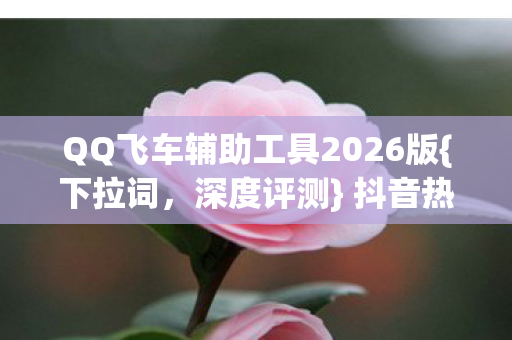 QQ飞车辅助工具2026版图片
