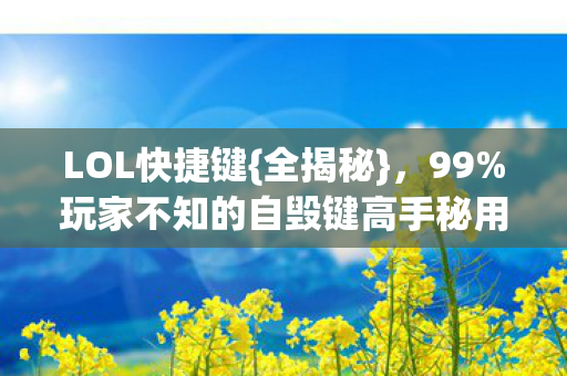 玩家不知的自毁键高手秘用图片