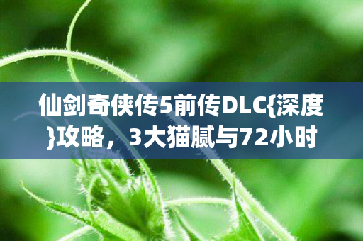 3大猫腻与72小时肝体验图片