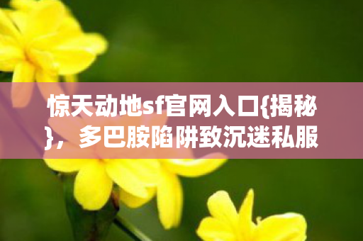 惊天动地sf官网入口图片