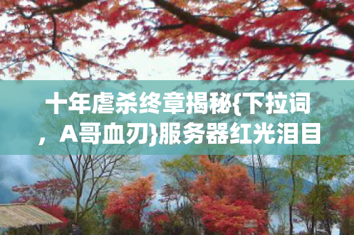 服务器红光泪目老玩家图片