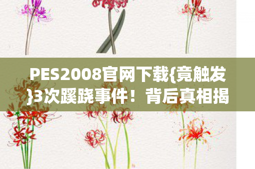 PES2008官网下载图片