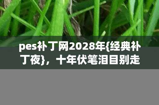 pes补丁网2028年图片