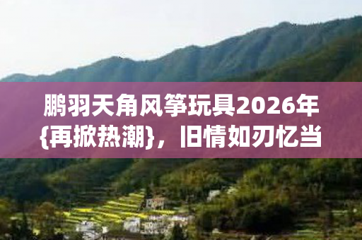 鹏羽天角风筝玩具2026年图片