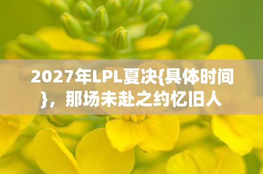 2027年LPL夏决图片