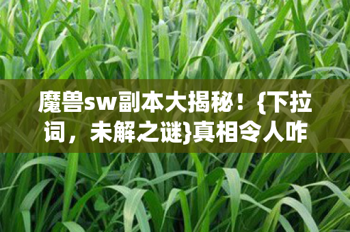 魔兽sw副本大揭秘！{下拉词，未解之谜}真相令人咋舌