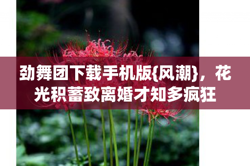 劲舞团下载手机版{风潮},花光积蓄致离婚才知多疯狂 劲舞团下载手机版{风潮},花光积蓄致离婚才知多疯狂