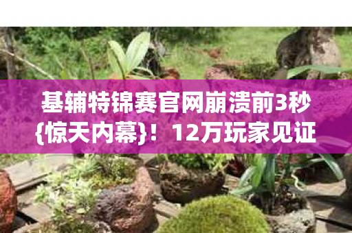 基辅特锦赛官网崩溃前3秒{惊天内幕}！12万玩家见证