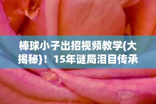 棒球小子出招视频教学图片