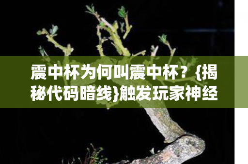 震中杯为何叫震中杯图片