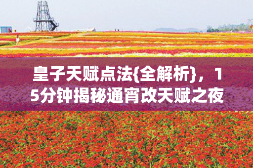 15分钟揭秘通宵改天赋之夜图片