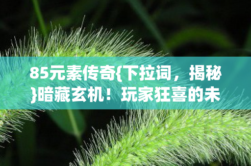 85元素传奇{下拉词,揭秘}暗藏玄机!玩家狂喜的未解之谜 85元素传奇{下拉词,揭秘}暗藏玄机!玩家狂喜的未解之谜