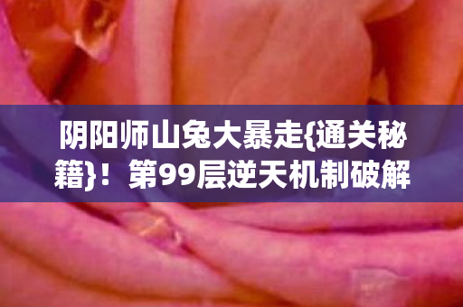 阴阳师山兔大暴走{通关秘籍}！第99层逆天机制破解