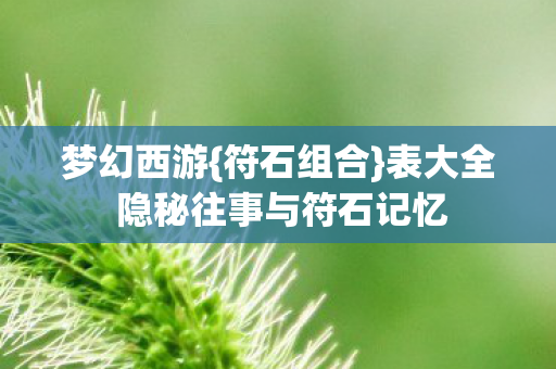 表大全 隐秘往事与符石记忆图片