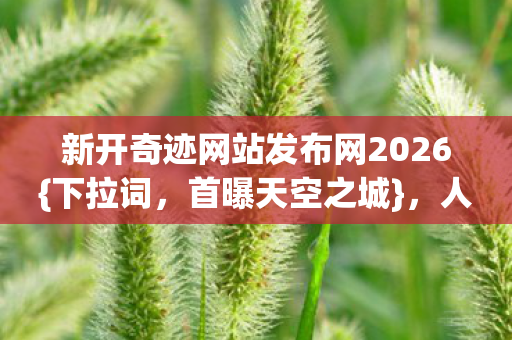 新开奇迹网站发布网2026图片