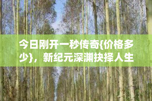 今日刚开一秒传奇{价格多少},新纪元深渊抉择人生 今日刚开一秒传奇{价格多少},新纪元深渊抉择人生