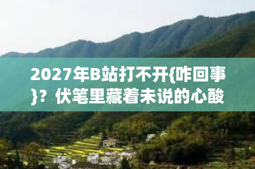 2027年B站打不开{咋回事}?伏笔里藏着未说的心酸 2027年B站打不开{咋回事}?伏笔里藏着未说的心酸