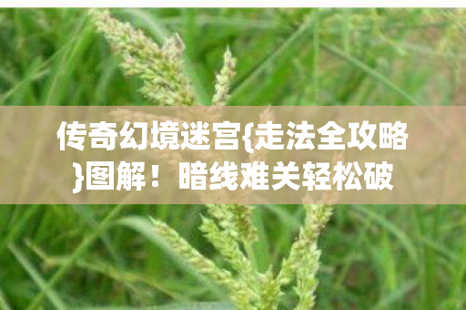 传奇幻境迷宫{走法全攻略}图解!暗线难关轻松破 传奇幻境迷宫{走法全攻略}图解!暗线难关轻松破