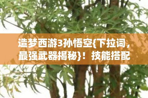 造梦西游3孙悟空{下拉词，最强武器揭秘}！技能搭配真相解析