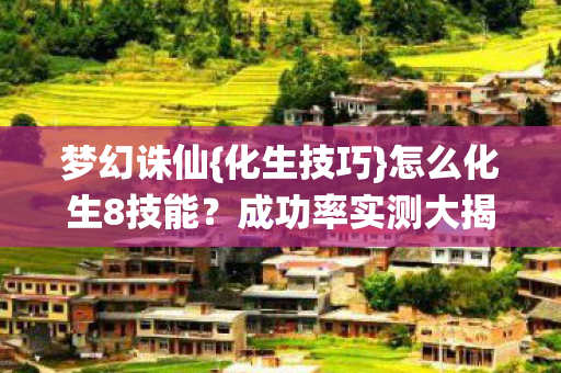 成功率实测大揭秘图片