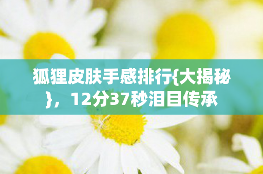 狐狸皮肤手感排行{大揭秘},12分37秒泪目传承 狐狸皮肤手感排行{大揭秘},12分37秒泪目传承
