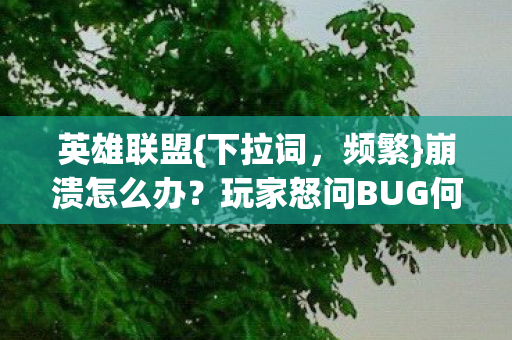 玩家怒问BUG何时修复图片