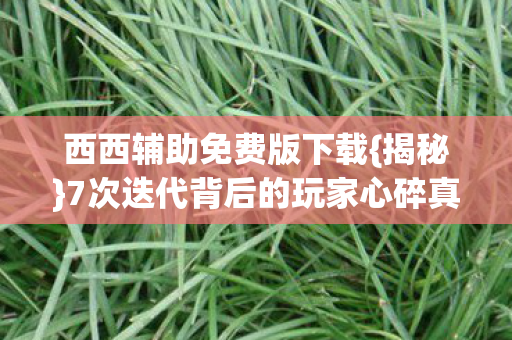 西西辅助免费版下载{揭秘}7次迭代背后的玩家心碎真相 西西辅助免费版下载{揭秘}7次迭代背后的玩家心碎真相